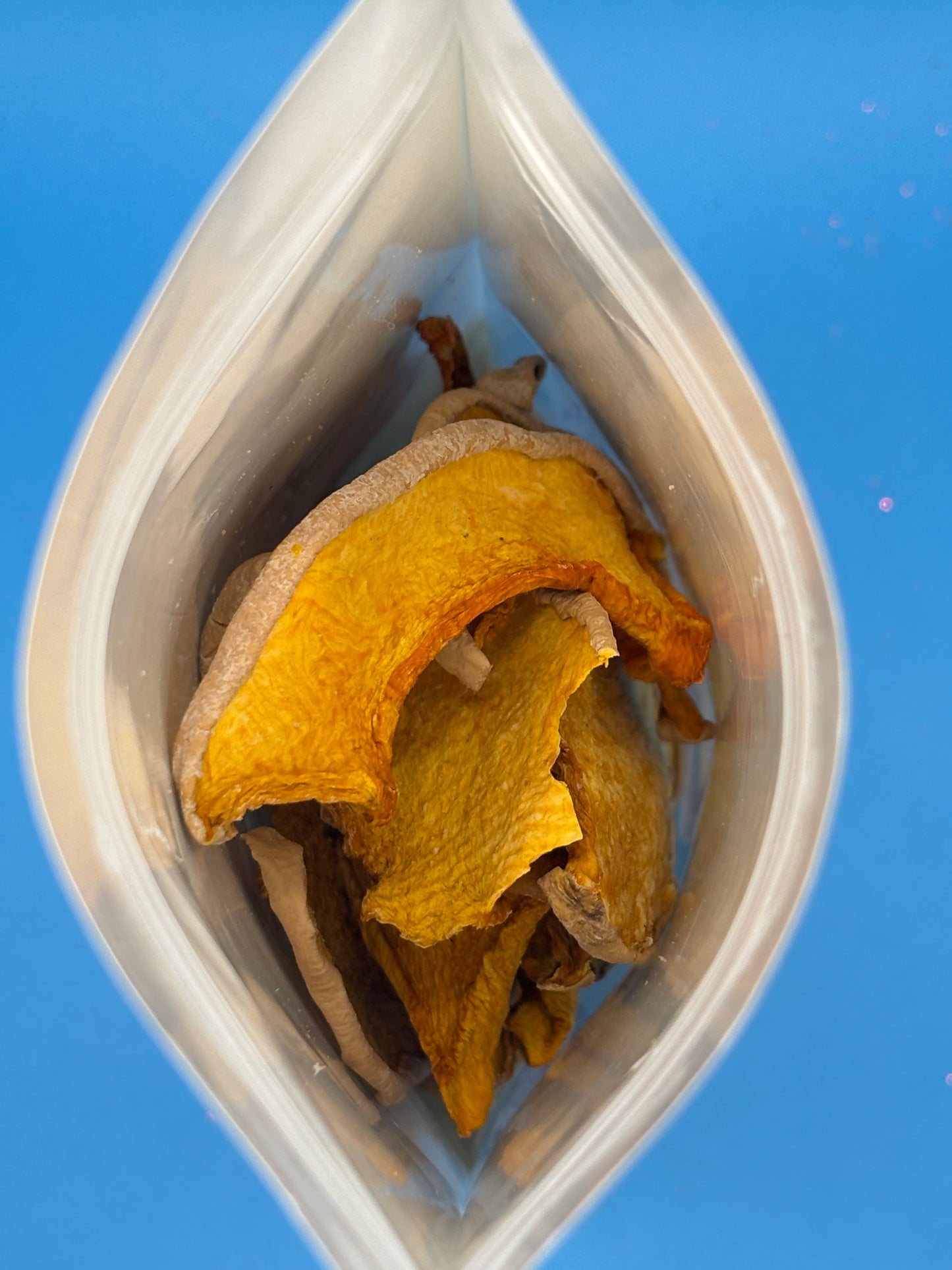 Pumpkin Chips